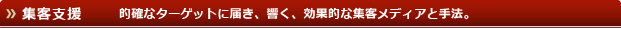 集客支援　的確なターゲットに届き、響く、効果的な集客メディアと手法
