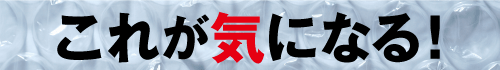 これが気になる！