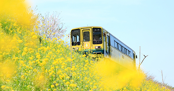 廃線寸前のローカル線「いすみ鉄道」に、乗客を増やすには?