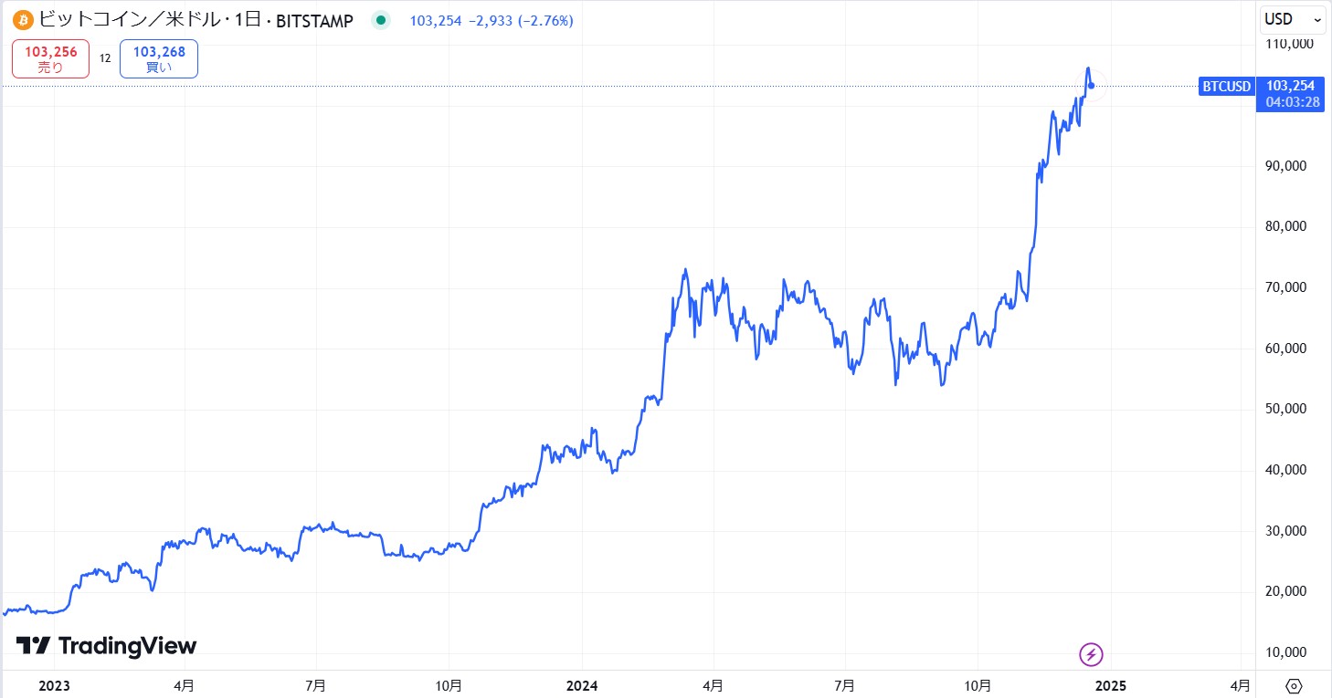 2024年12月時点のビットコイン(BTC)の価格動向