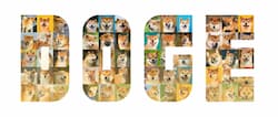 ドージコイン(DOGE)とは？