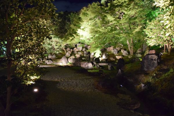 圓徳院の夜間特別拝観「客殿に微涼生ず」