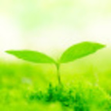 開成学園校長　柳沢幸雄さんインタビュー連載　子どもに「一生モノの自信」をつける方法