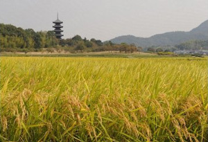 お得なセットがもらえる「岡山県総社市」が第2位 お得なセットがもらえる「岡山県総社市」が第2位