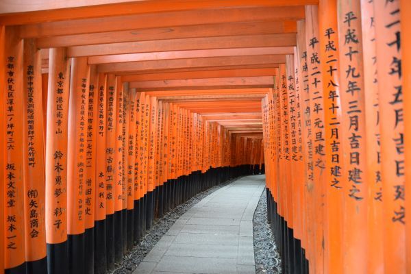 伏見稲荷の千本鳥居