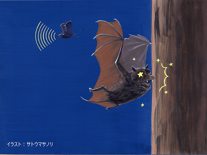 なぜ 絶滅 強くても 数が多くても 生き物は滅ぶ テレビで話題 意外過ぎる 絶滅のわけ とは も っと わけあって絶滅しました ダイヤモンド オンライン