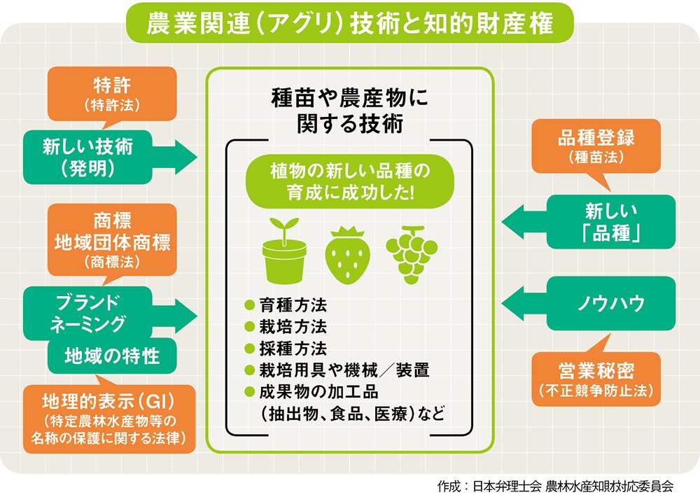 進化する農業】「知財ミックス」で高収益化と保護を実現する | 広告企画 | ダイヤモンド・オンライン