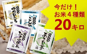 「茨城県のお米4種食べくらべ20kgセット」がもらえる「茨城県境町」