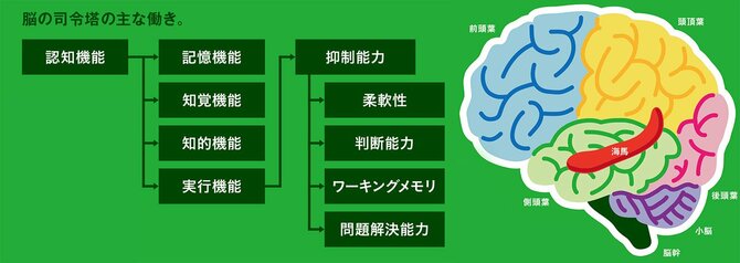 脳力アップ によって より良い人生を送れる可能性が高まる理由 脳力アップ と運動の知られざる関係 ダイヤモンド オンライン