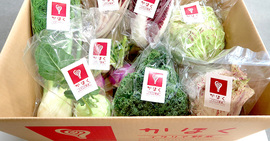 1kg3500円も!イタリア野菜で山形の田舎町が起死回生