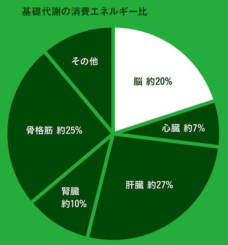 脳力アップ によって より良い人生を送れる可能性が高まる理由 脳力アップ と運動の知られざる関係 ダイヤモンド オンライン