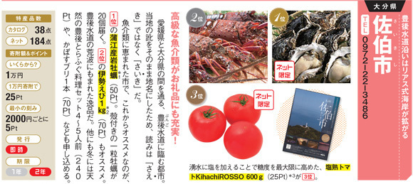 大分県佐伯市のふるさと納税