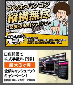 岩井コスモ証券のメリット 手数料 取扱商品は ネット証券詳細情報 ザイ オンライン