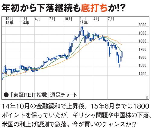 利回りと分配の安定性から見たオススメ10銘柄!