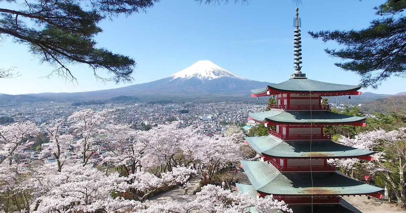 ドローンで見る日本の絶景、満開の桜と五重塔と富士山 | ニュース3面鏡