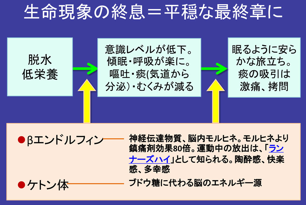 病院で最期を迎えない 幸せな死に方 医療 介護 大転換 ダイヤモンド オンライン