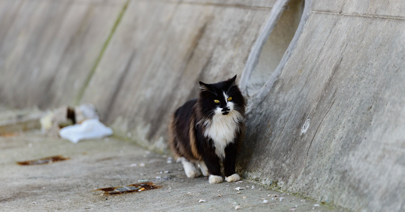 貧困家庭を破壊する新たな地雷 生活保護費の強制返還 とは 生活保護のリアル 私たちの明日は みわよしこ ダイヤモンド オンライン