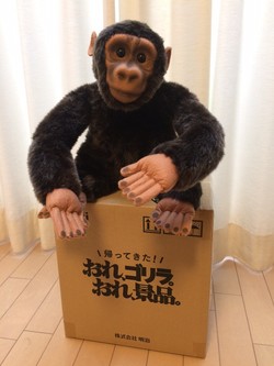 帰ってきた! おれ、ゴリラ