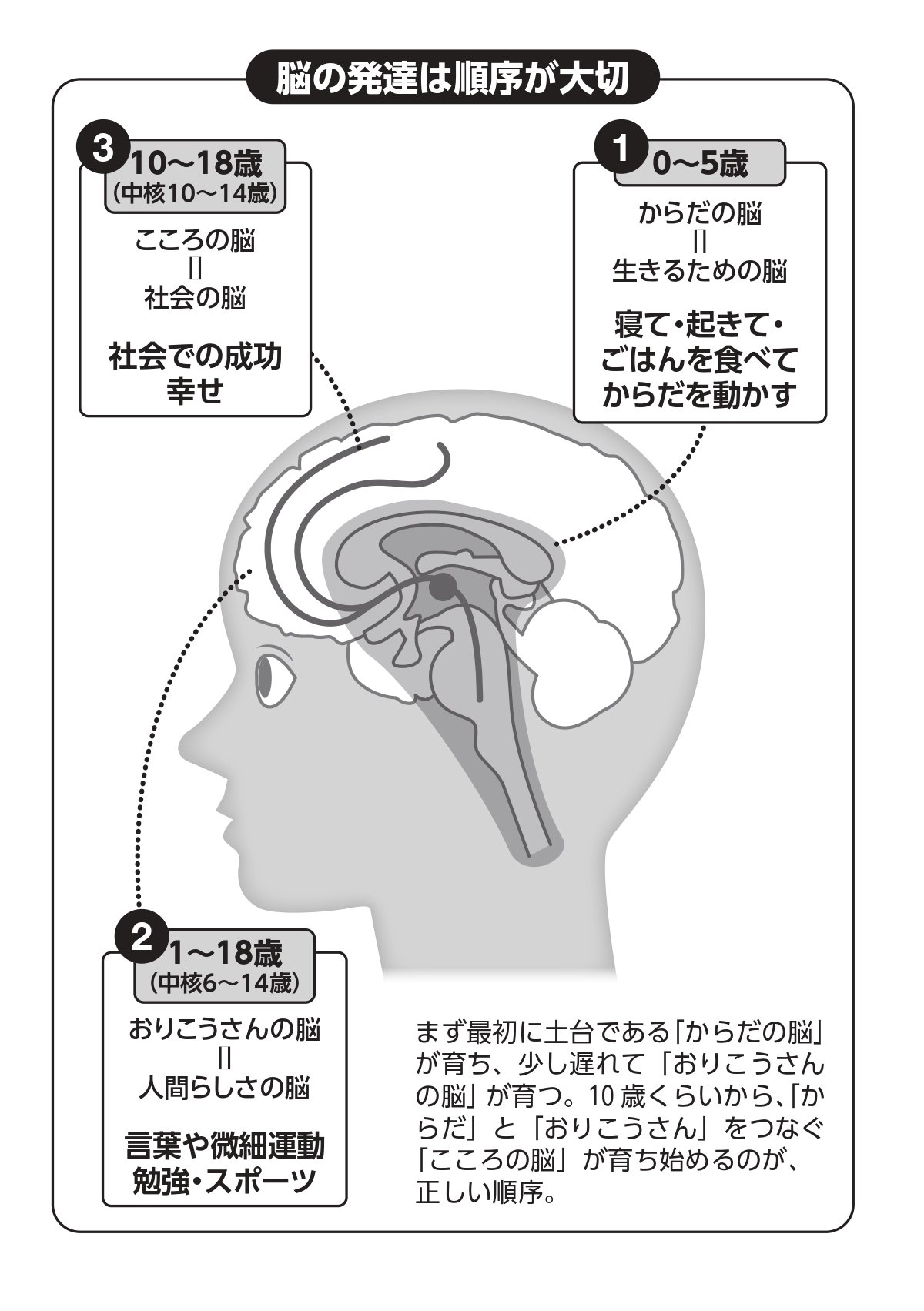 子どもの「脳育て」で高学歴の親がつまずく罠、見落としがちな脳の発達