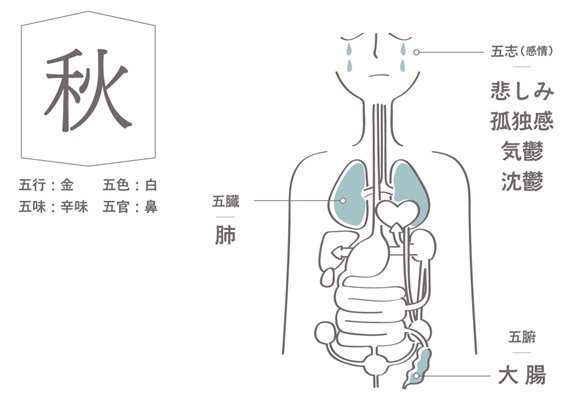 顔を見れば健康状態がわかる 危険な顔色 5つのタイプ News Amp Analysis ダイヤモンド オンライン