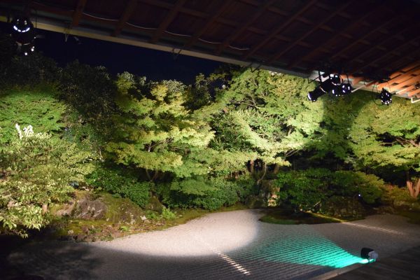 圓徳院の石庭
