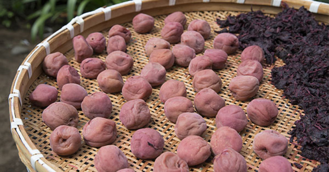 梅干しのある成分が ダイエットに効果的 薬学部教授が教える 薬を減らして健康に生きる方法 薬学部教授だけが知っている薬のいらない健康な生き方 ダイヤモンド オンライン 梅干しのある成分が ダイエットに効果的 薬学部教授が教える 薬を減らして健康に生きる方法 薬学部教授だけが知っている薬のいらない健康な生き方 ダイヤモンド オンライン