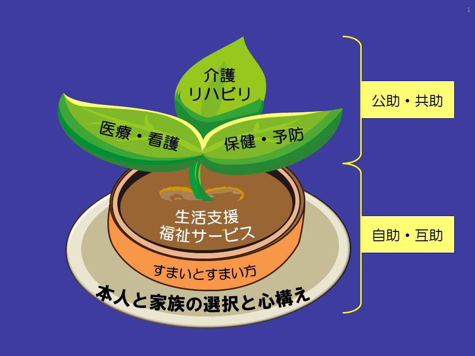 高齢者ケア「地域包括ケアシステム」はなぜ変容したのか  医療・介護 