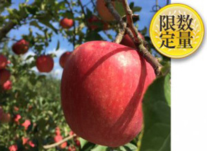 「ふじ」がもらえる「山形県山形市」