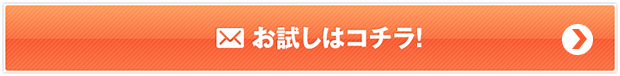 お試しはコチラ
