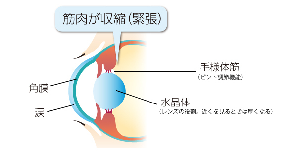 あれ 老眼 40代からと思っていたら 若い世代にも増えている スマホ老眼 って何 ロート製薬 ダイヤモンド オンラインplus