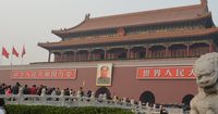悪夢:中国の臓器売買の実態