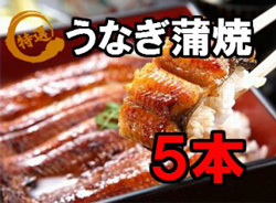 「高知県奈半利町」の「ふんわり♪やわらか♪特大うなぎ蒲焼5本」